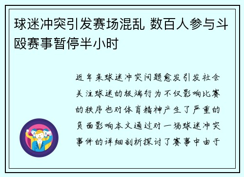 球迷冲突引发赛场混乱 数百人参与斗殴赛事暂停半小时